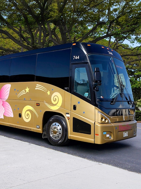 Royal Star Tour bus parked on a scenic road with lush greenery.