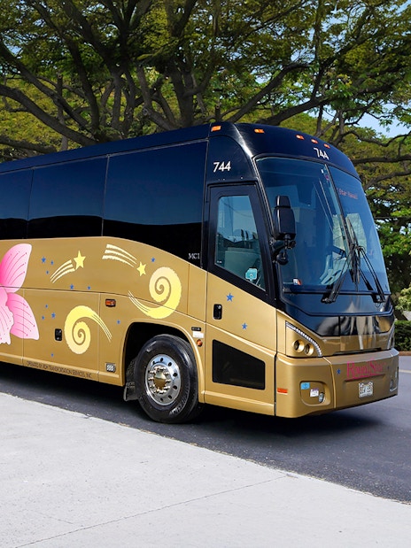 Royal Star Tour bus parked on a scenic road with lush greenery.