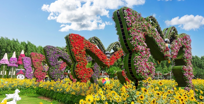 Tickets Dubai Butterfly Garden
