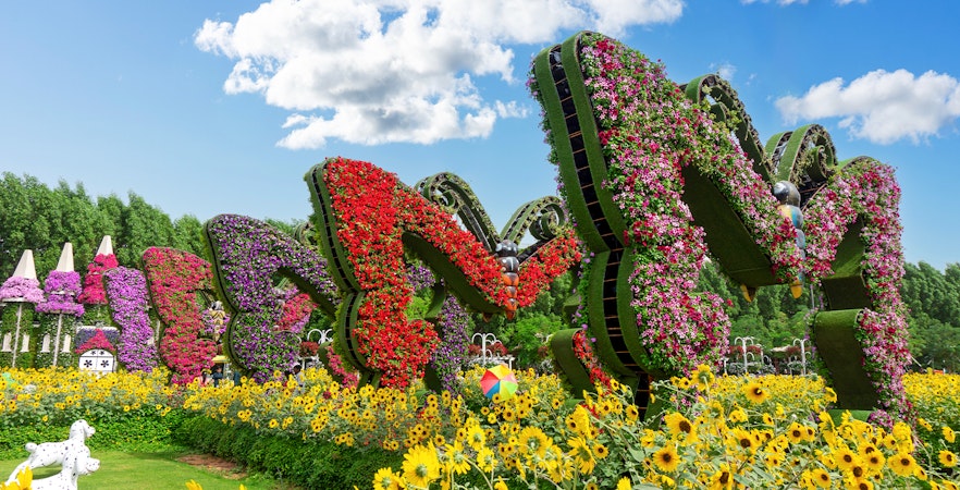 Tickets Dubai Butterfly Garden