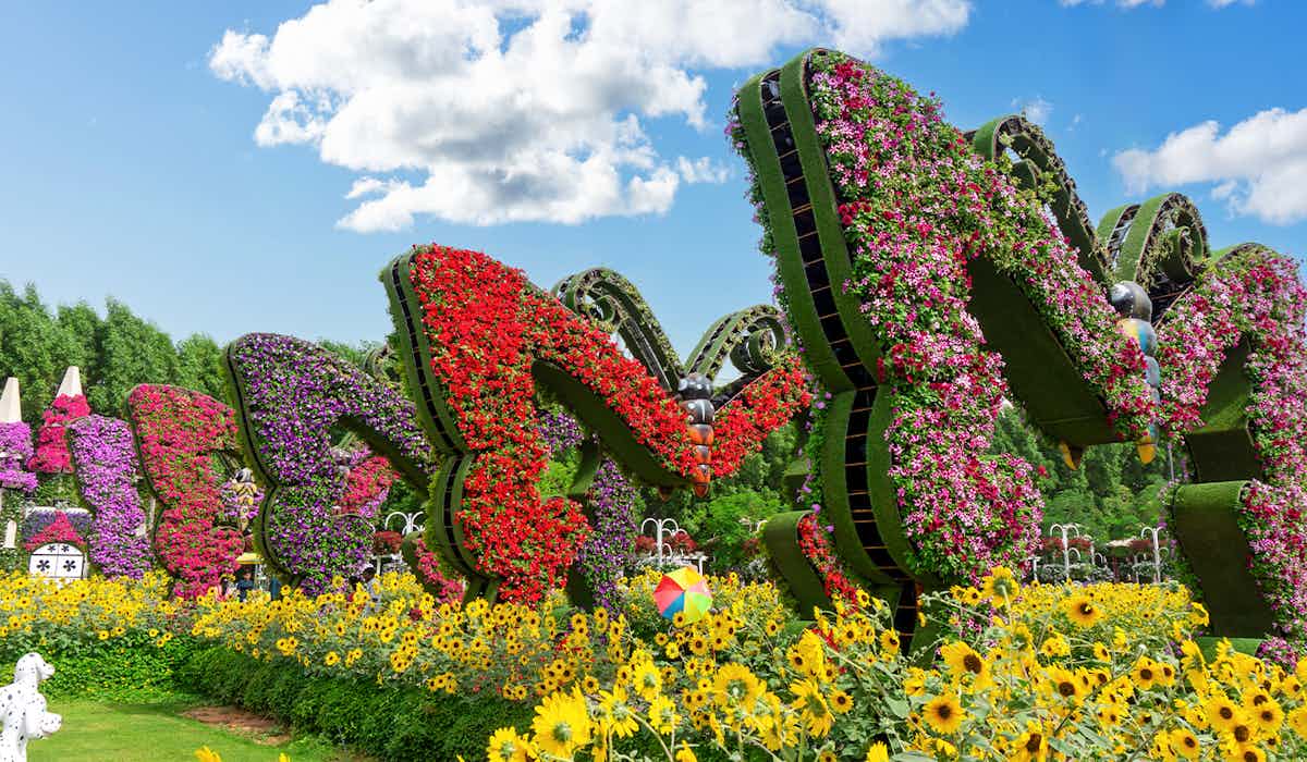 Dubai Miracle Garden
