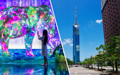 Interactive digital art at teamLab Forest and Fukuoka Tower in Fukuoka, Japan.