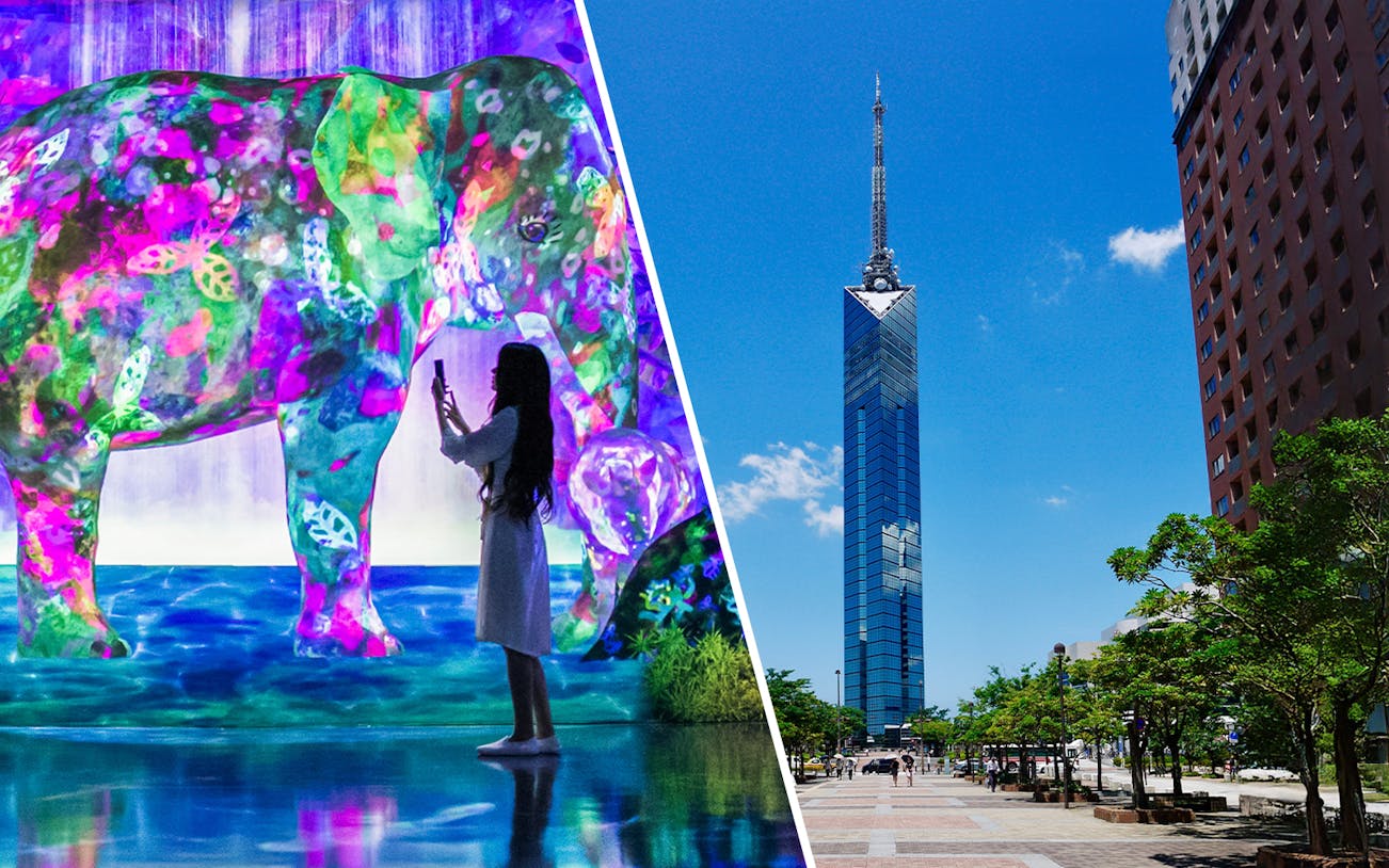Interactive digital art at teamLab Forest and Fukuoka Tower in Fukuoka, Japan.