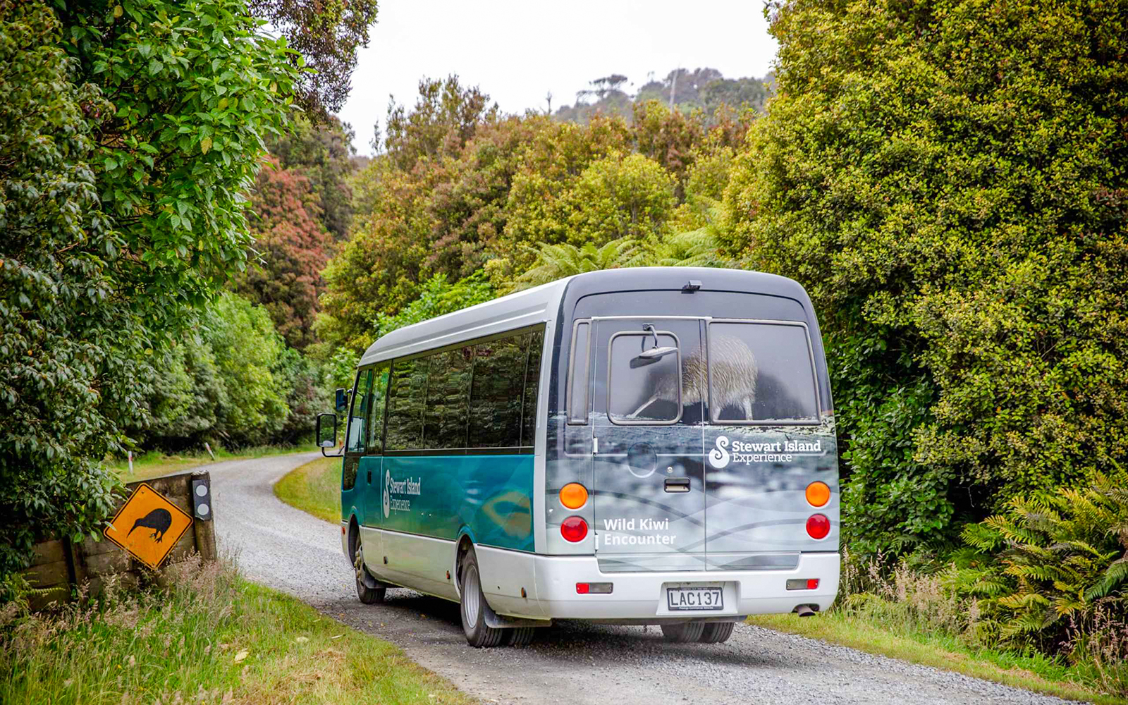 Tour bus on a scenic road in Stewart Island, New Zealand, with kiwi crossing sign.