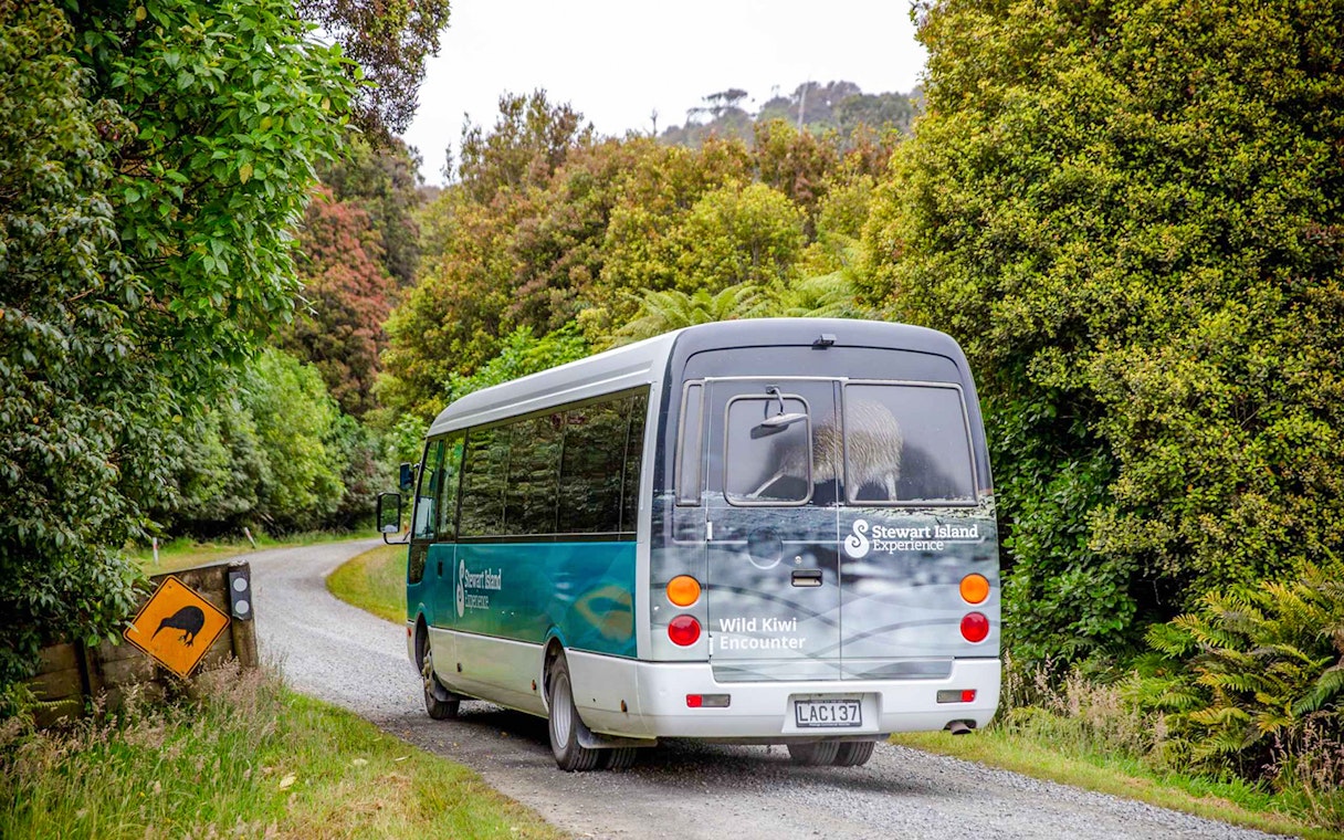 Tour bus on a scenic road in Stewart Island, New Zealand, with kiwi crossing sign.