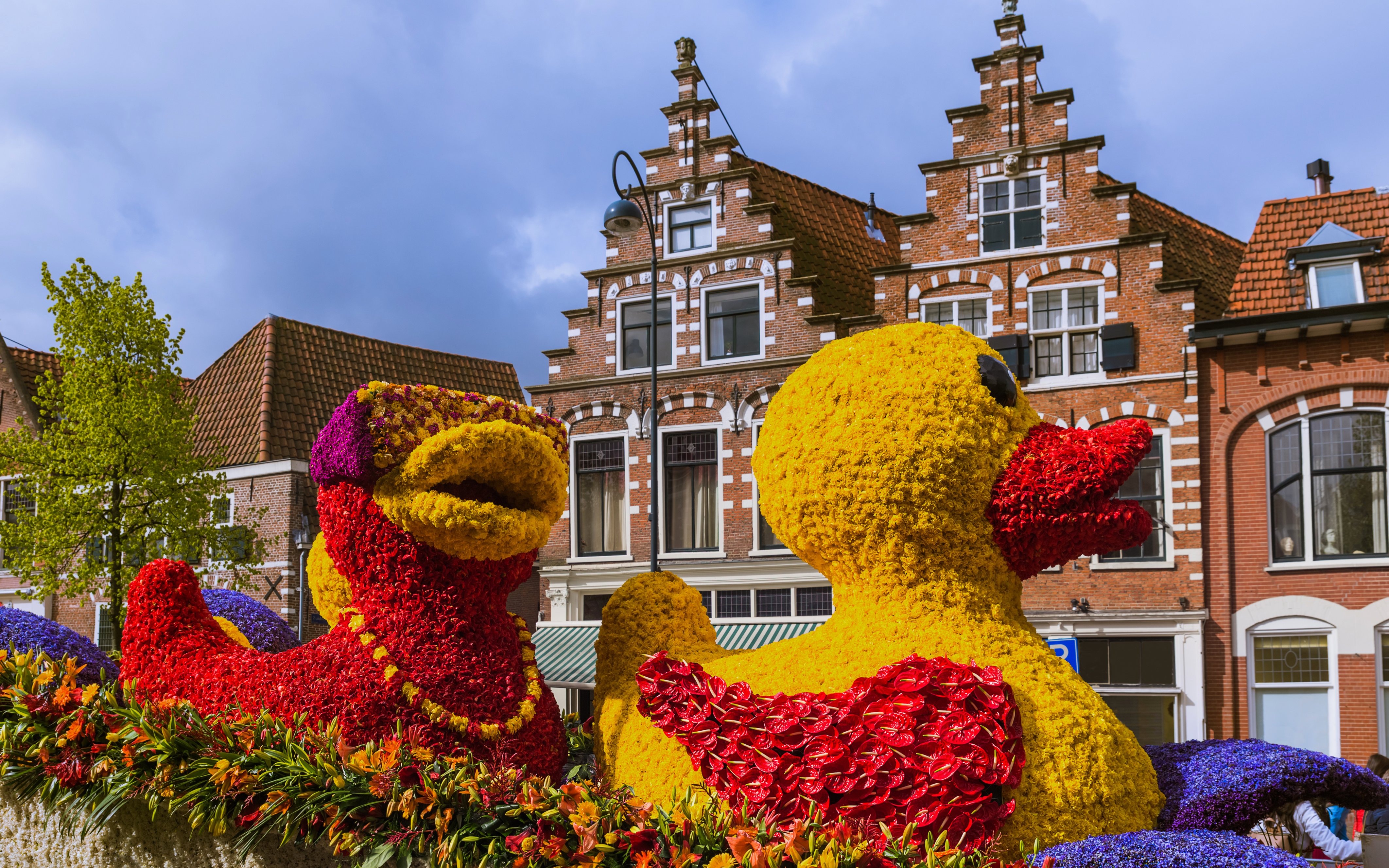 Tulip duck statues at flower parade in front of Dutch gabled buildings.