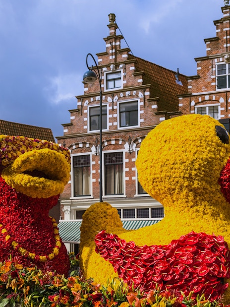 Tulip duck statues at flower parade in front of Dutch gabled buildings.