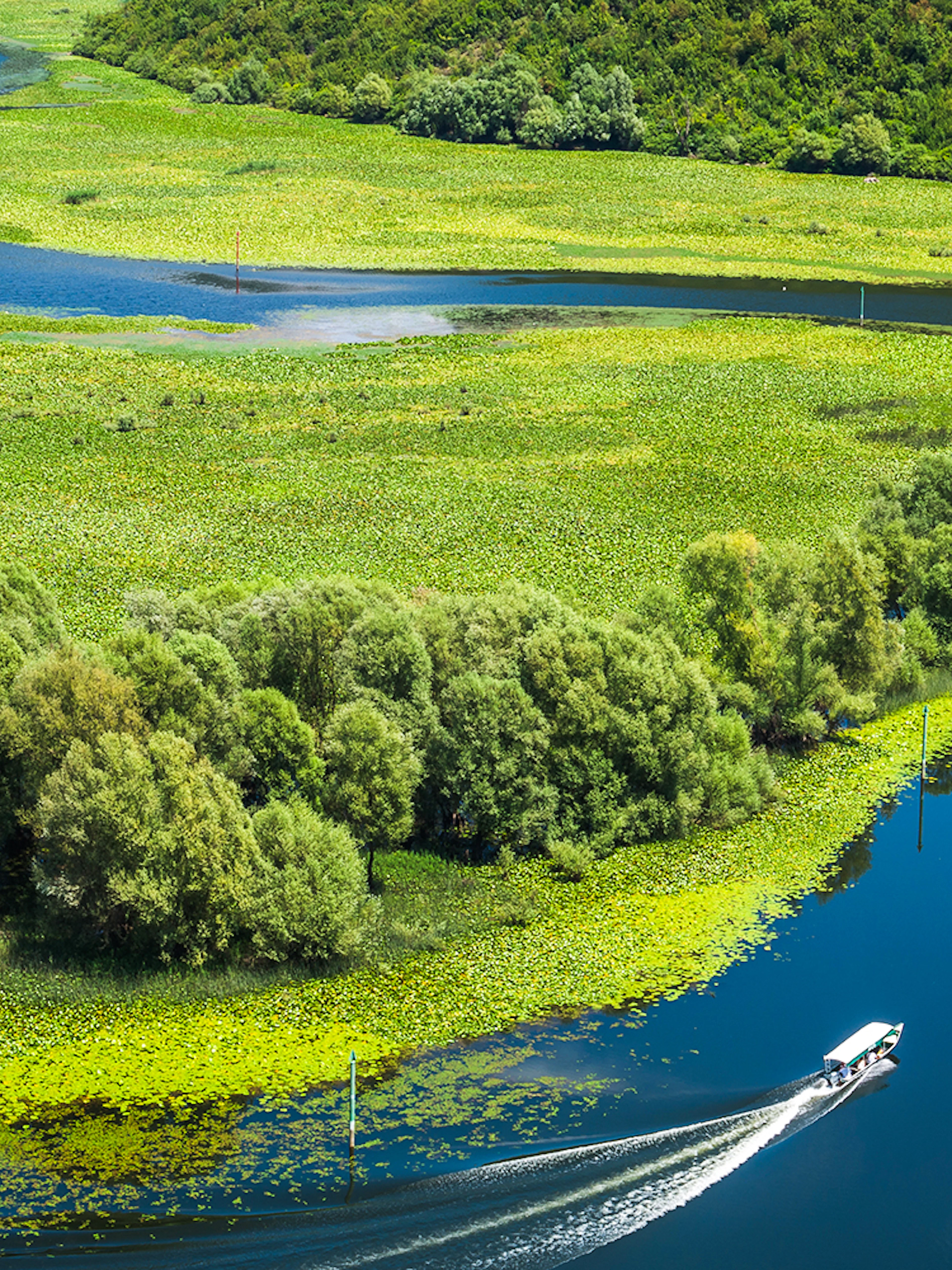 Crnojevica river bends and curves with boat in Montenegro.