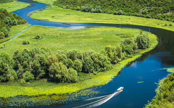 From Kotor/Budva/Tivat/Herceg Novi: Lake Skadar & Biograd Day Trip with Boat Ride