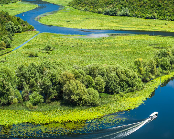 From Kotor/Budva/Tivat/Herceg Novi: Lake Skadar & Biograd Day Trip with Boat Ride