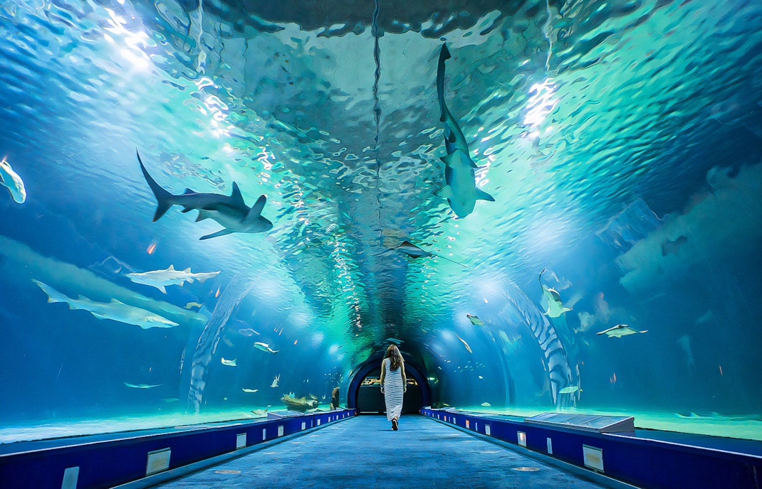 Oceanografic Valencia - oceans