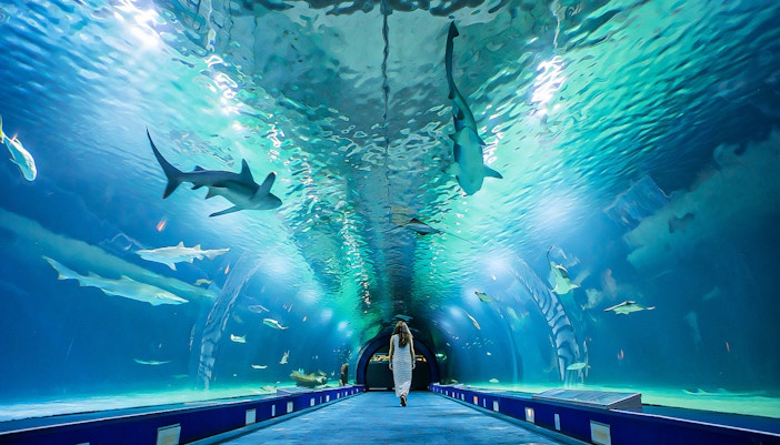 Oceanografic Valencia - oceans