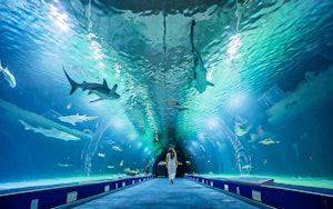 Oceanográfic: Tickets and Tours