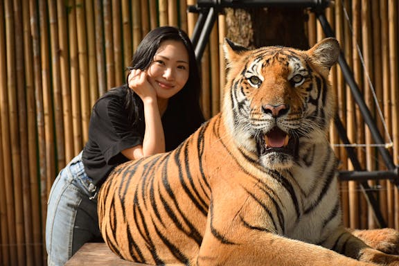 tiger kingdom tickets with private transfers-6