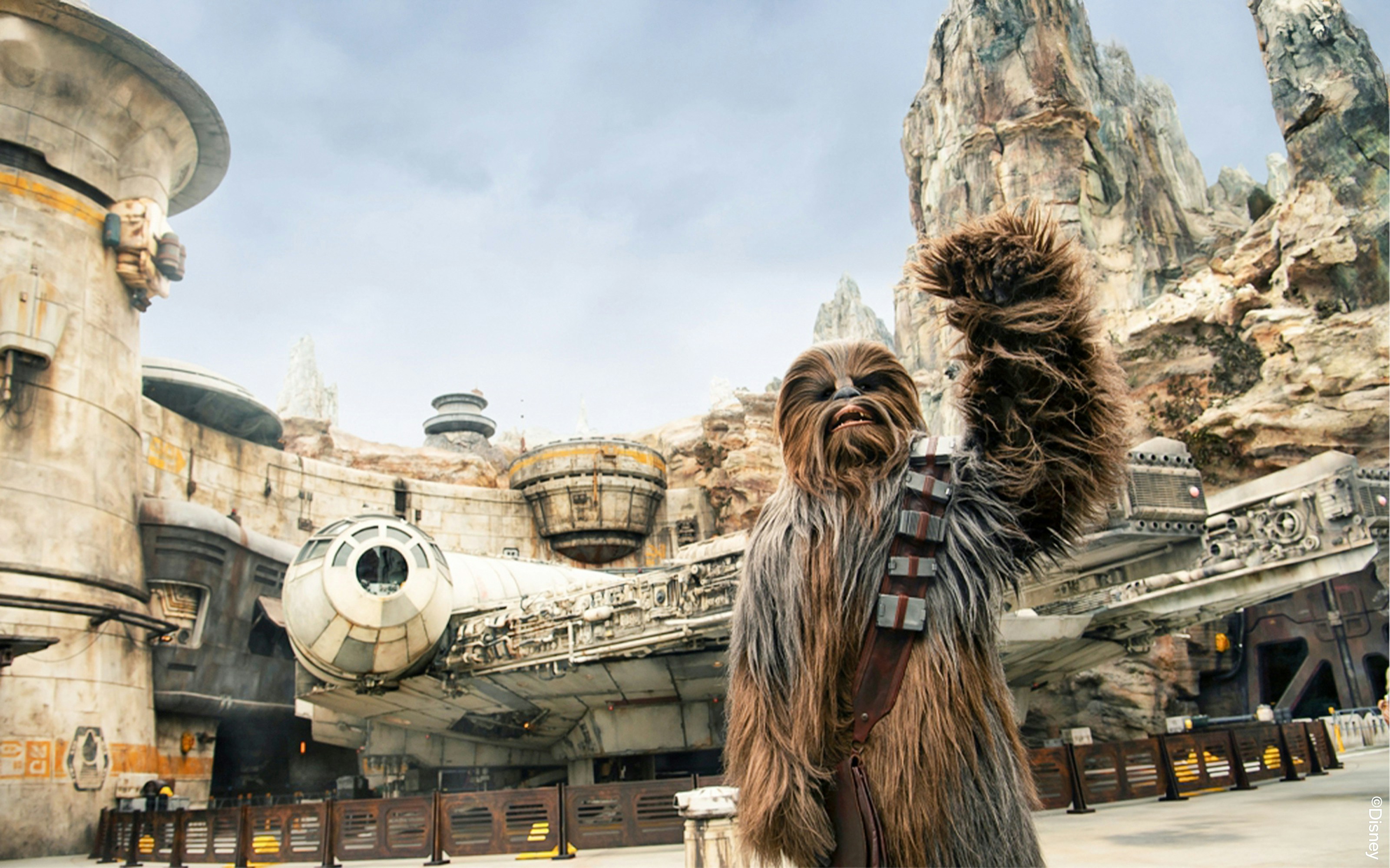 Chewbacca at Star Wars Galaxy's Edge, Disneyland Park, California, with Millennium Falcon.