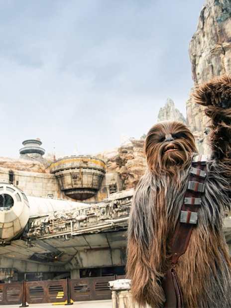 Chewbacca at Star Wars Galaxy's Edge, Disneyland Park, California, with Millennium Falcon.