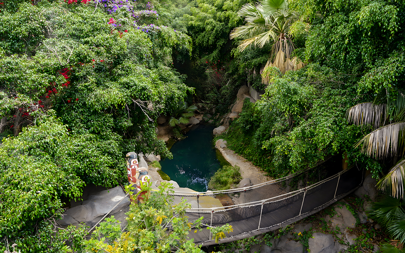 Suspension bridge over lush greenery and pond at Jungle Park Tenerife.