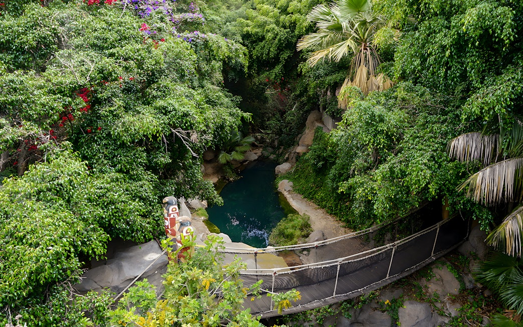 Suspension bridge over lush greenery and pond at Jungle Park Tenerife.