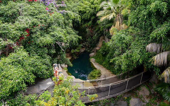 Suspension bridge over lush greenery and pond at Jungle Park Tenerife.