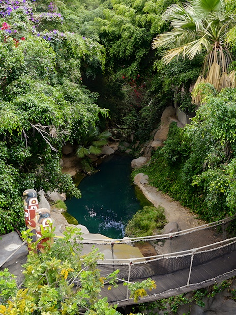 Suspension bridge over lush greenery and pond at Jungle Park Tenerife.