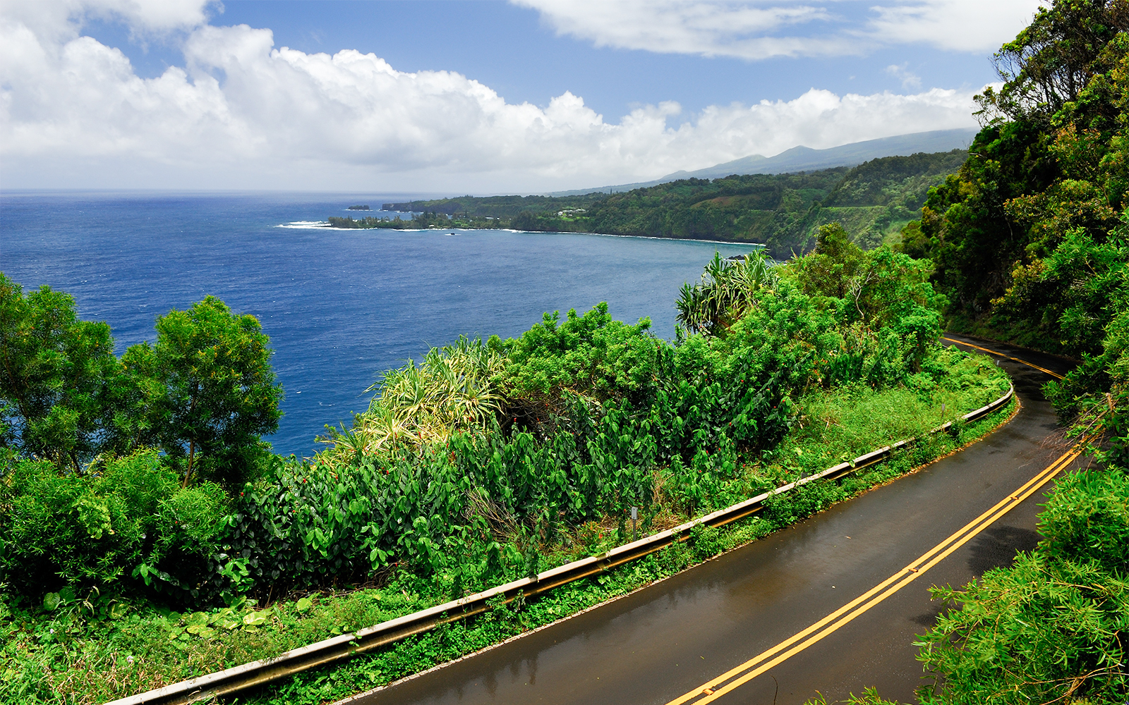 Wet road winding through lush greenery at Kaumahina State Wayside Park, Hana, Maui, Hawaii.