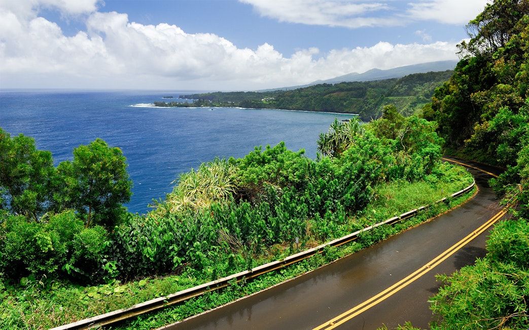 Wet road winding through lush greenery at Kaumahina State Wayside Park, Hana, Maui, Hawaii.