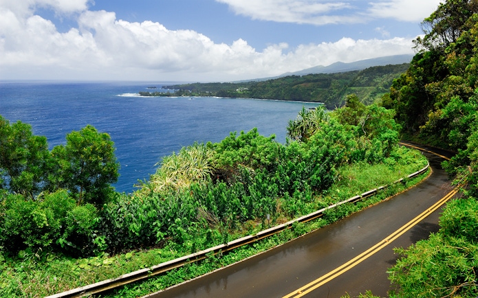 Wet road winding through lush greenery at Kaumahina State Wayside Park, Hana, Maui, Hawaii.