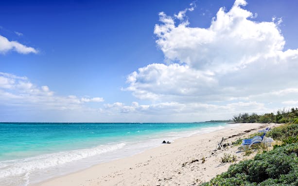 wyspa rose: półdniowa wycieczka „pływanie ze świnkami” (idealna na wycieczkę z rejsu)-4