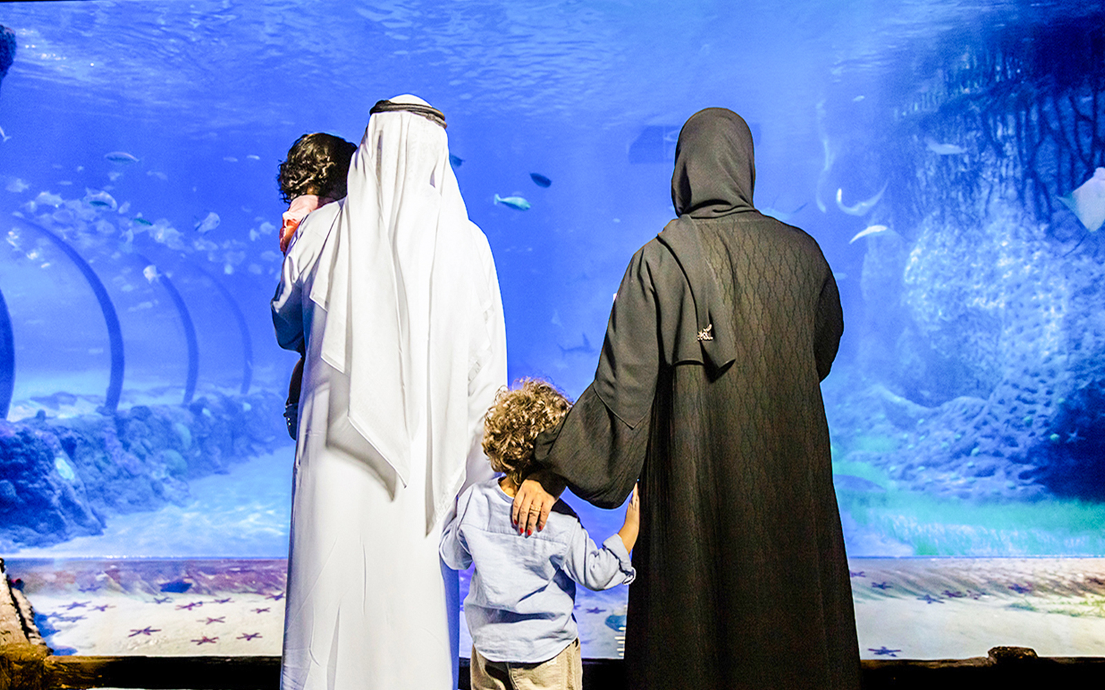 Dubai Aquarium - King Croc