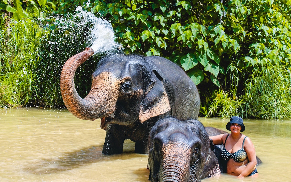 Elephants bathing with a visitor at Ao Nang Elephant Sanctuary, Thailand.