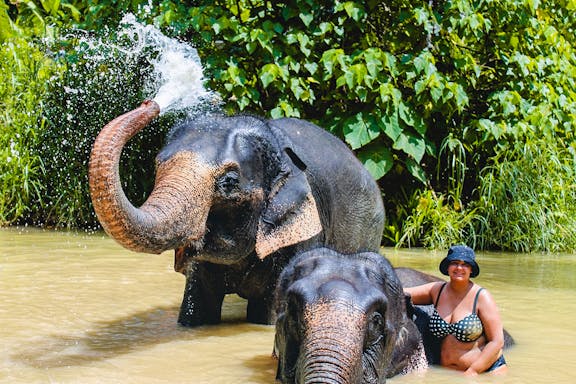 half-day guided tour of ao nang elephant sanctuary with hotel transfers-7