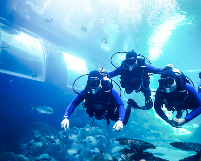 Singapore Oceanarium Dive Programs with Adventure Cove Waterpark Entry