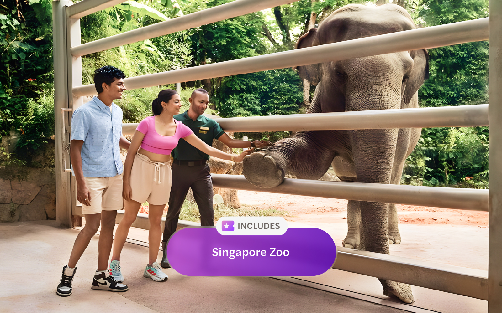 Visitors interacting with an elephant at Singapore Zoo, Mandai Wildlife Reserve.