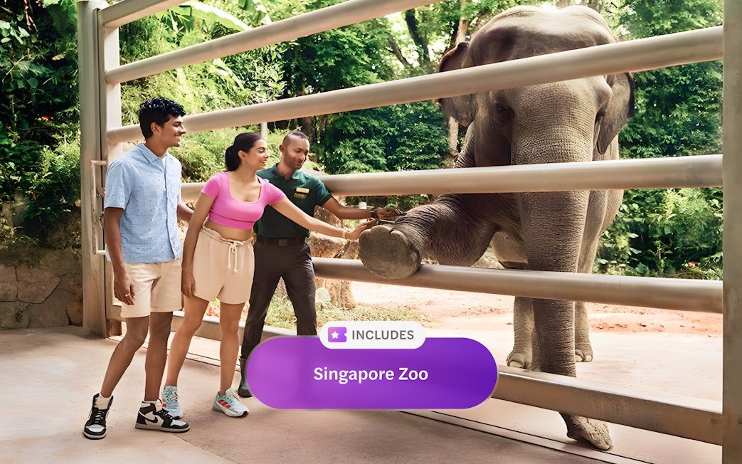 Visitors interacting with an elephant at Singapore Zoo, Mandai Wildlife Reserve.