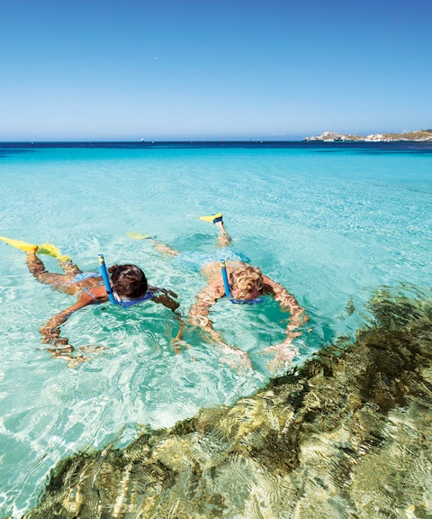 Two people snorkeling with yellow fins in clear water at Rottnest Island.