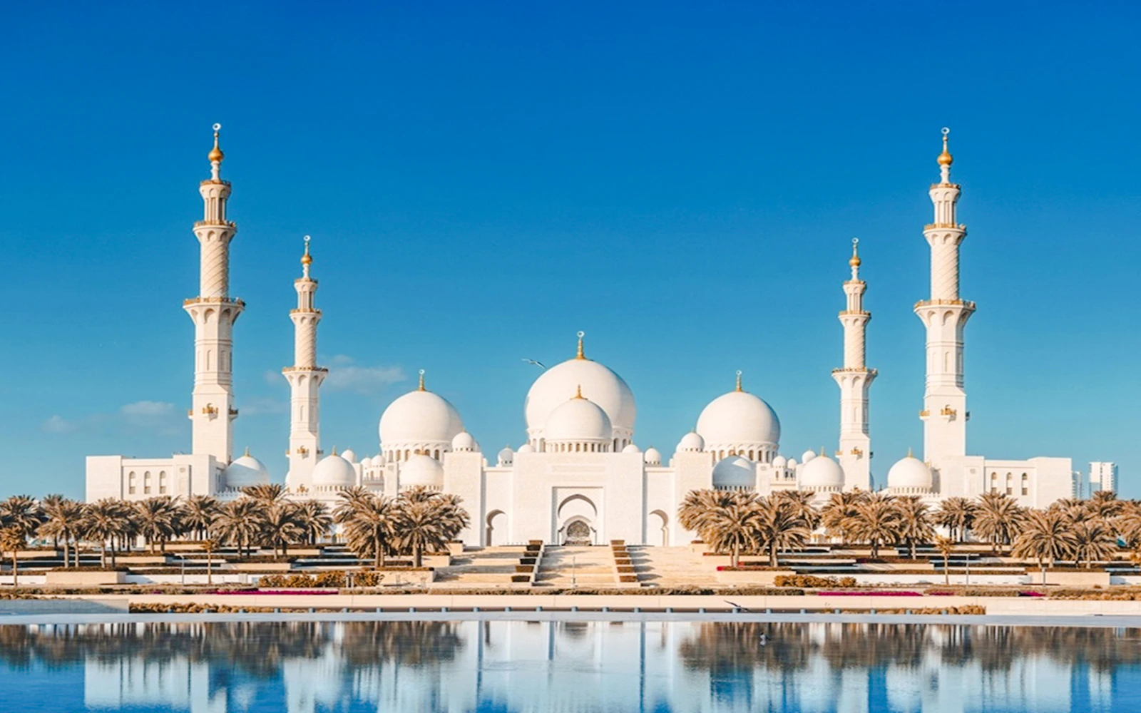 Abu Dhabi City Tour with Sheikh Zayed Grand Mosque Image 2