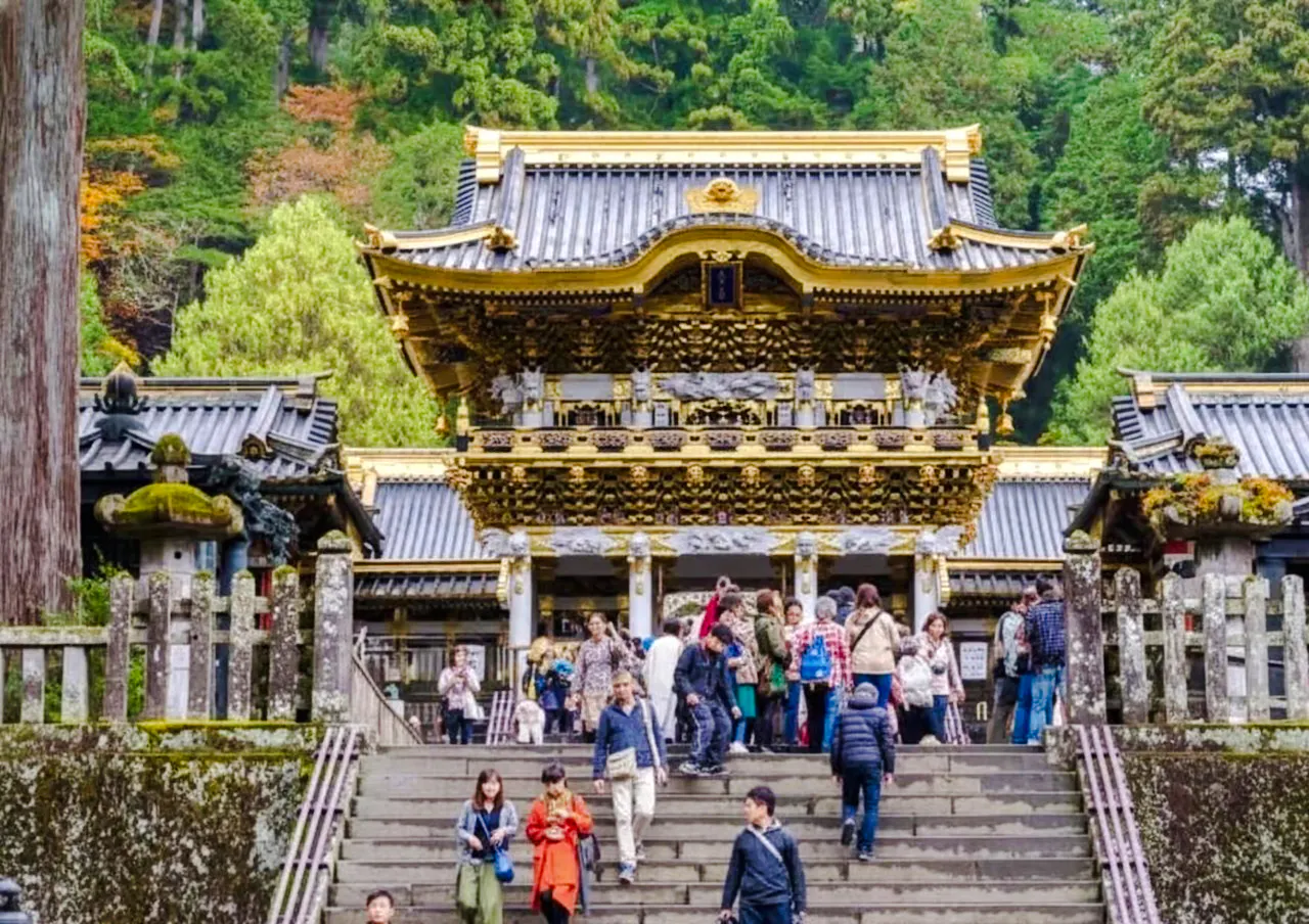 da tokyo: tour in giornata privato al parco delle scimmie delle nevi di jigokudani con autista-1