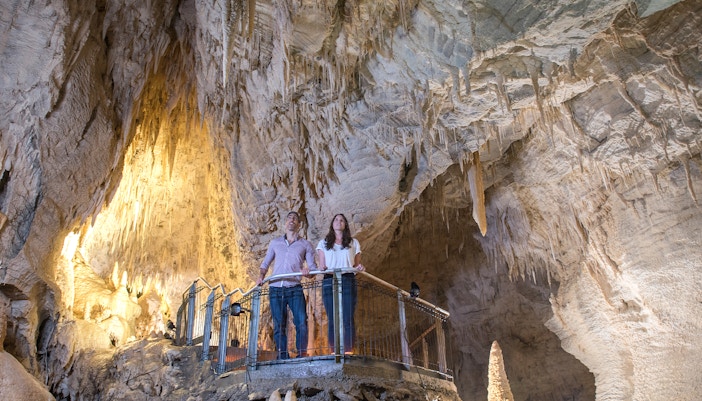 Visitors exploring stalactites in Ruakuri Cave, New Zealand.