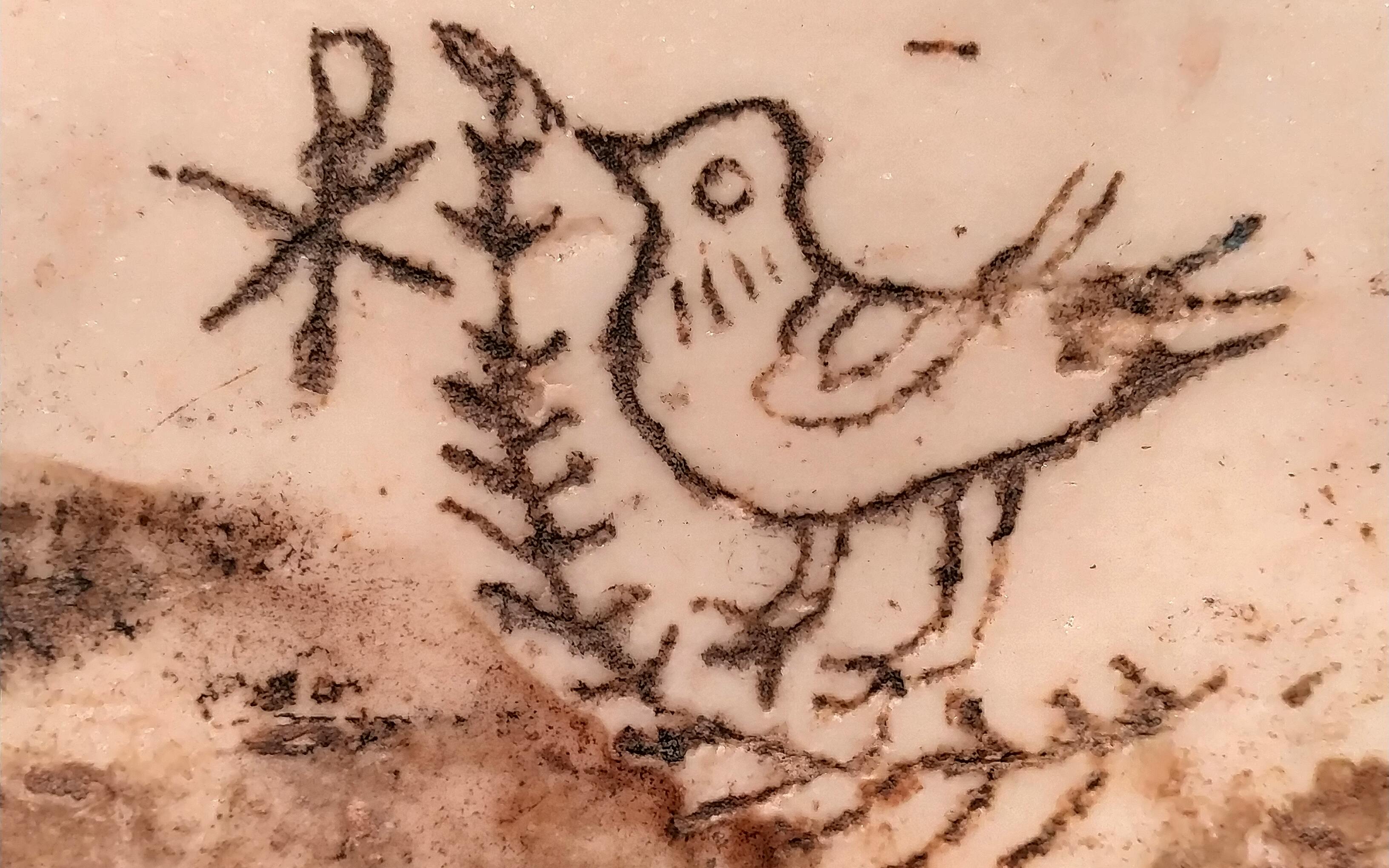 Ancient bird carving in Catacombs of Saint Agnes, Rome.