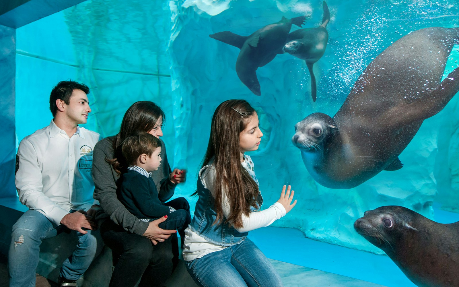 SEA LIFE Aquarium Verona - SeaLion