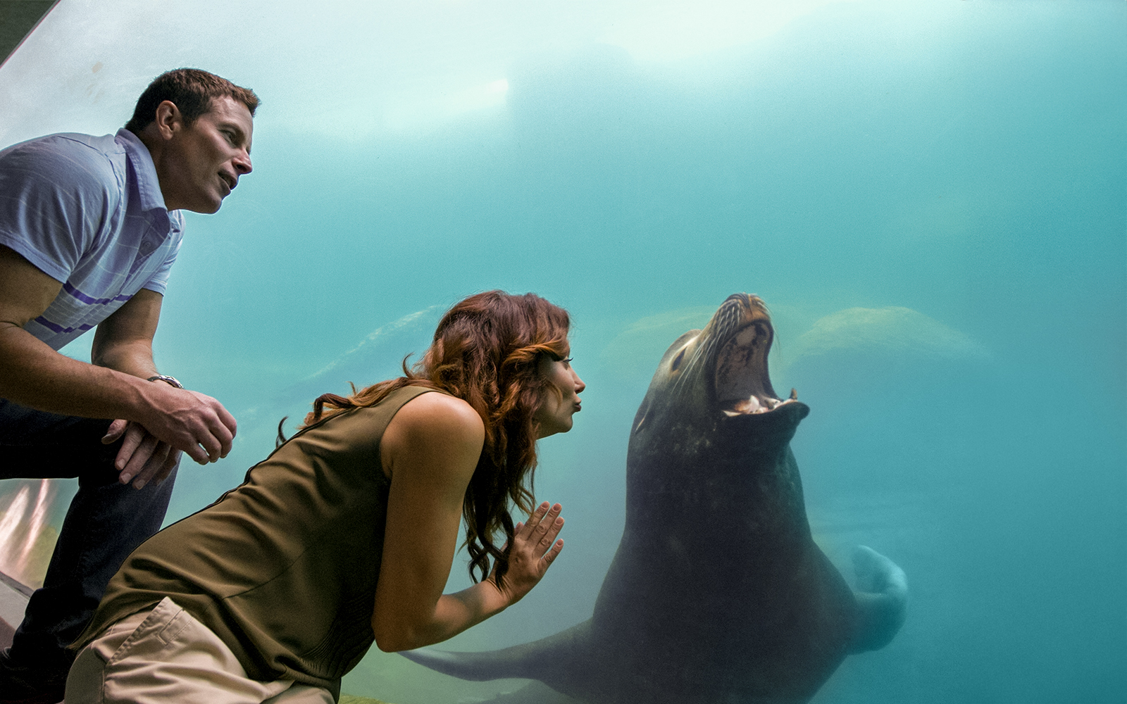 Visitors observing a sea lion through glass at Aquarium of the Pacific.