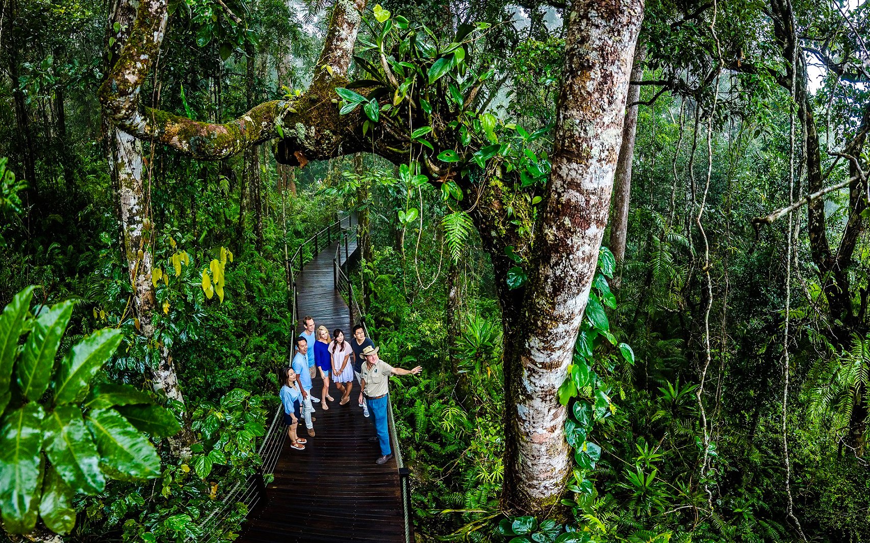 Visitors on a rainforest boardwalk during the Scenic Train and Skyrail Kuranda Tour.