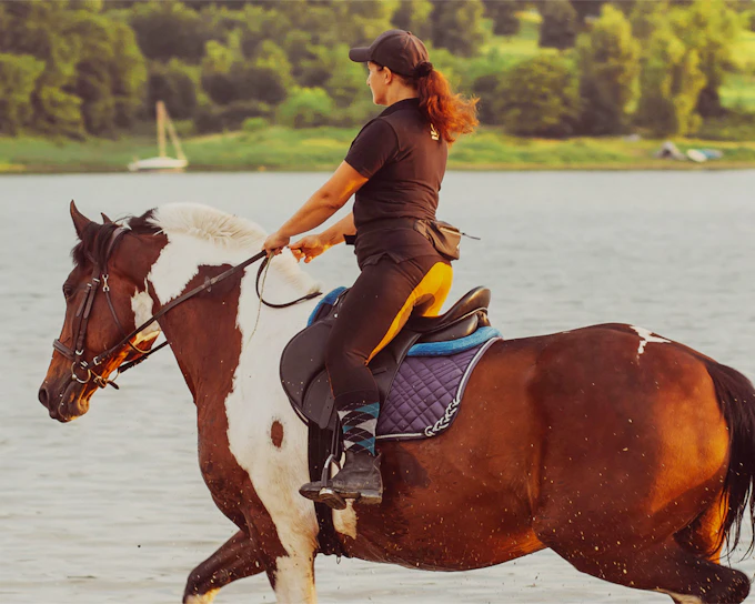 Tickets to Half-Day Horse Riding Experience with Private Transfers