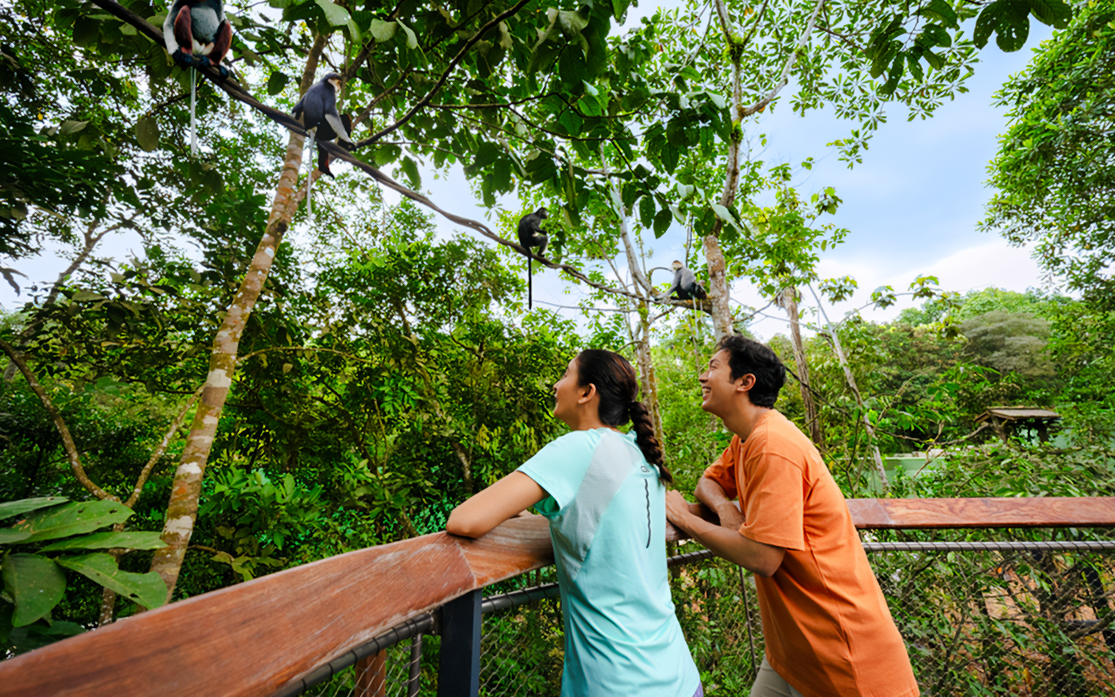Visitors observing monkeys in the lush canopy of a tropical forest.