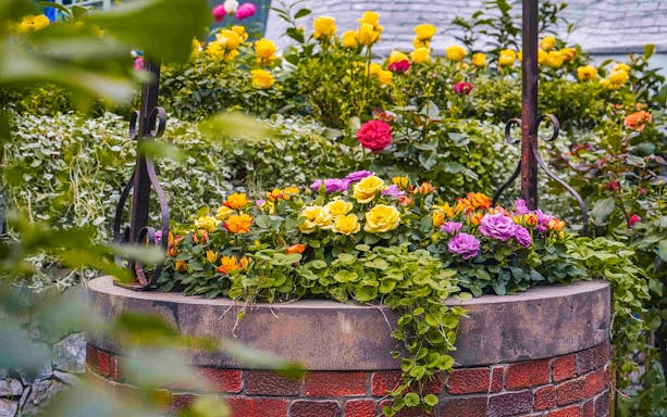 Colorful flowers on a stone well in Gardens by the Bay's Floral Fantasy, Singapore.