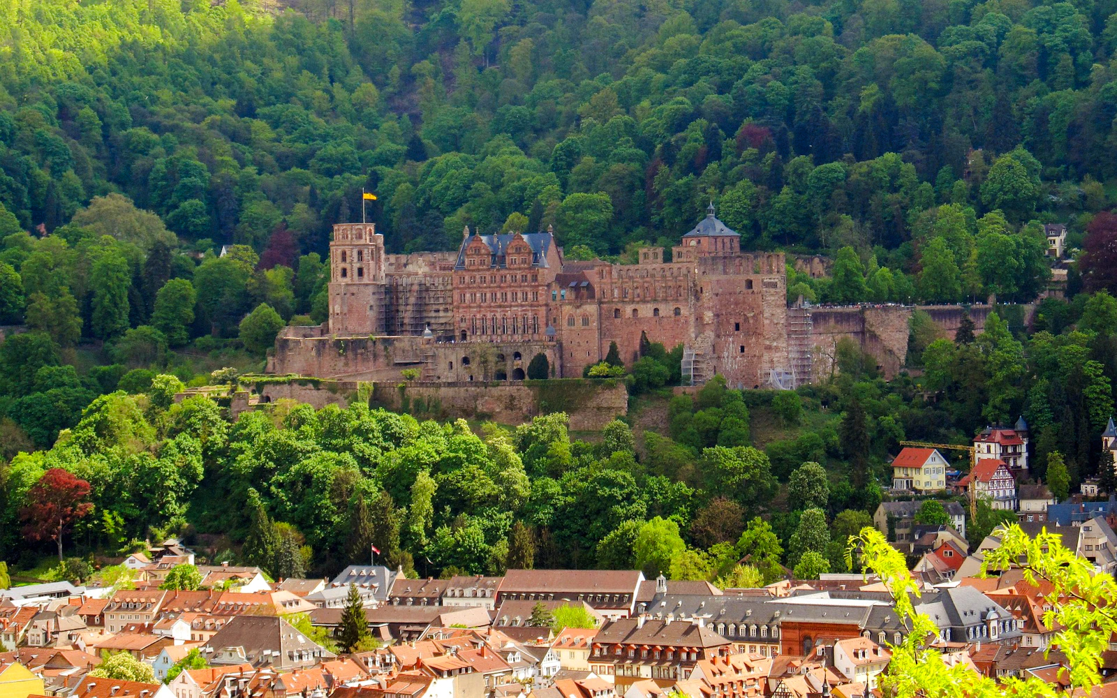 Heidelberg Old Town Private Walking Tour with Castle Entry