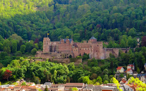 visite à pied privée de la vieille ville de heidelberg avec entrée au château-1