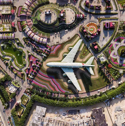 Dubai Miracle Garden facts: What you didn’t know!