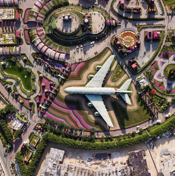 Dubai Miracle Garden facts: What you didn’t know!