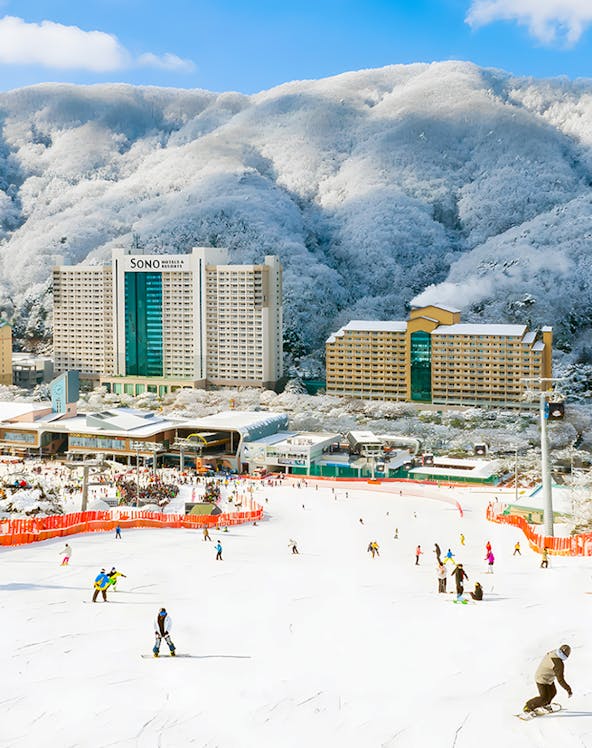 Vivaldi Park Ski Resort with igloos and skiers on snowy slopes in South Korea.